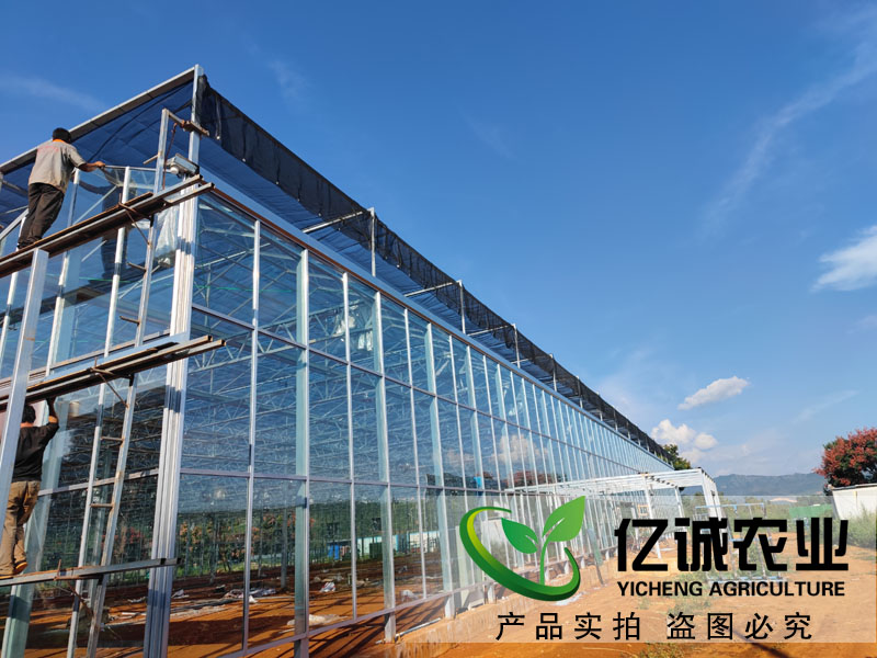 溫室大棚建設(shè)廠(chǎng)家蘑菇種植大棚_溫室工程安裝_玻璃溫室大棚性能特點(diǎn)